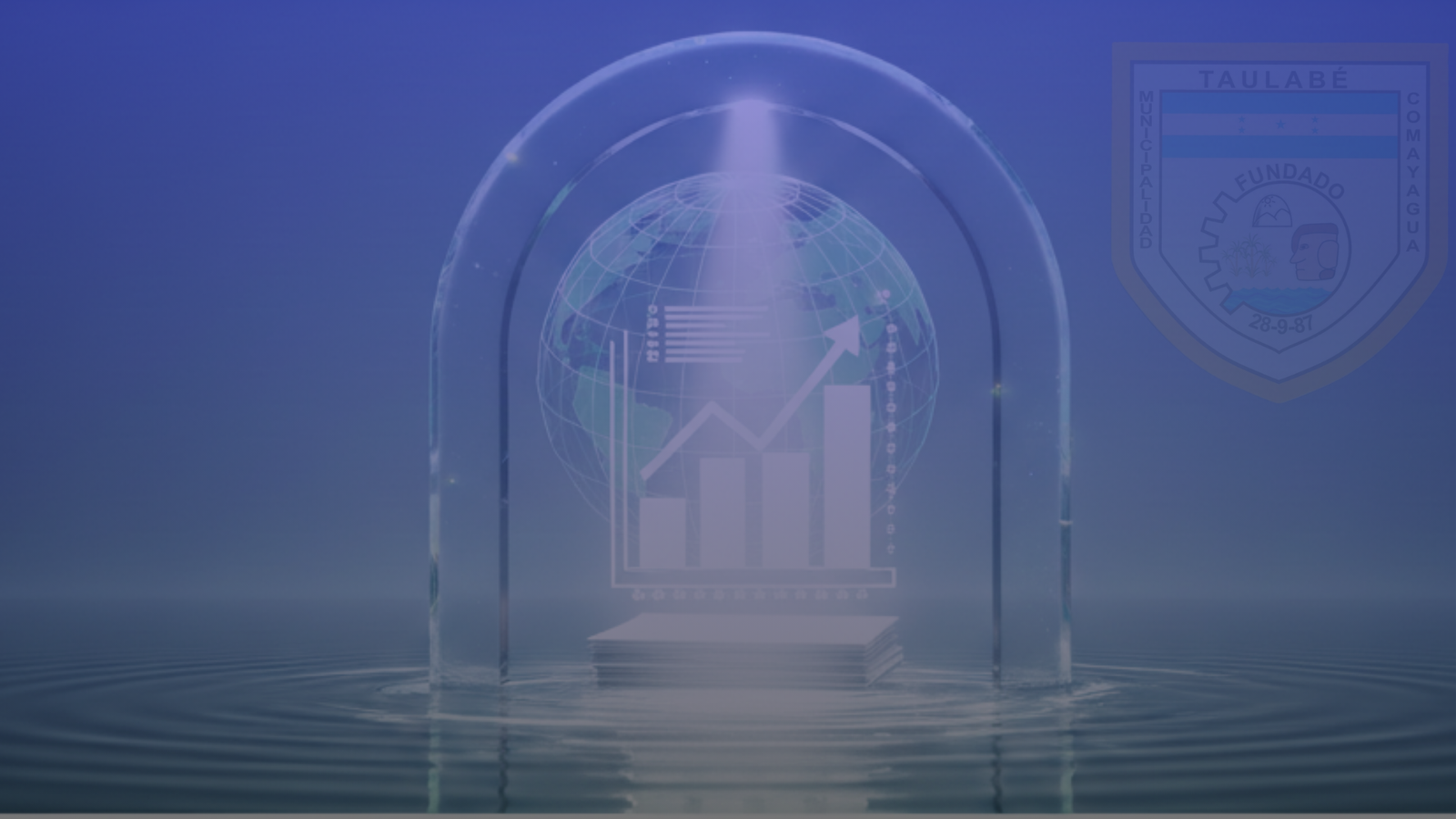 Asesoría en Transparencia